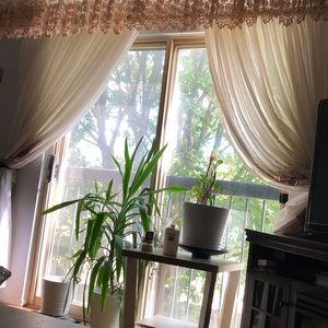 Meet your Posher, Amina